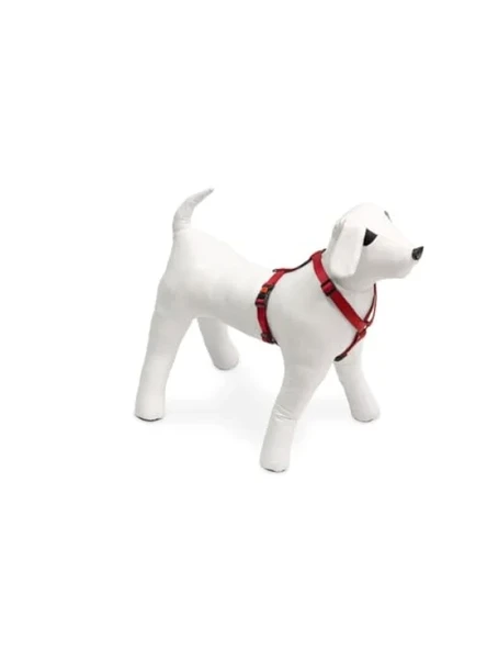 Kilitli Göğüs Tasma, Köpek İçin 45-70 cm, Kırmızı ürün görseli 1