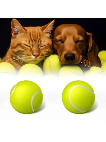 2'li Kedi ve Köpek Tenis Topu - 7.5 cm ürün görseli 1