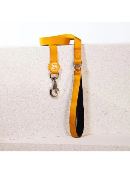Köpek Gezdirme Kayışı, 120 cm x 2 cm, Dayanıklı ürün görseli 1