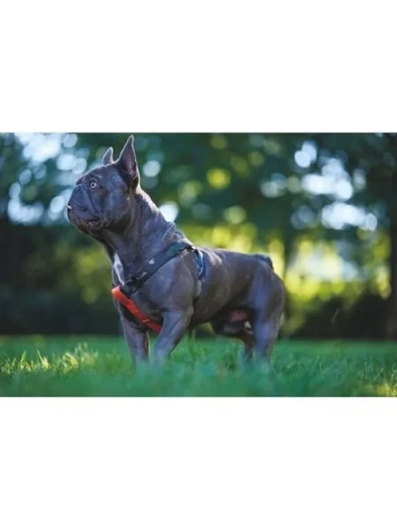 Ayarlanabilir Köpek Harness, XS Boy - Resim 2