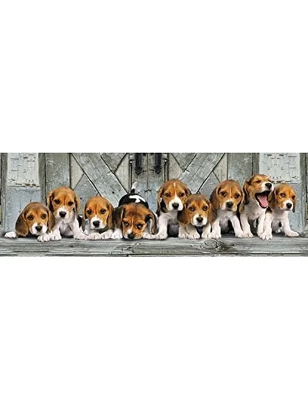1000 Parça Yetişkin Puzzle – Beagle Temalı Panorama - Resim 2