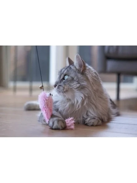 Zilli Peluş Ahtapot Kedi Oltası - Resim 2