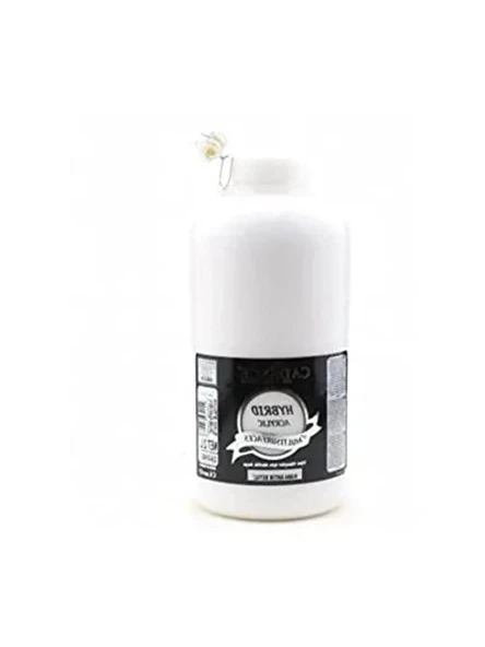 Antik Beyaz Çok Amaçlı Boya, 2000 ml Kapasite ürün görseli 1