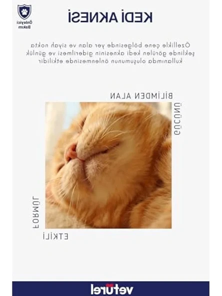 Veturel Kedi Yüz Bakım Solüsyonu - Resim 3