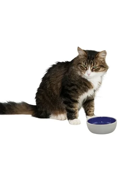5 İnç Seramik Tabak, Kedi ve Sürüngenler için ürün görseli 1