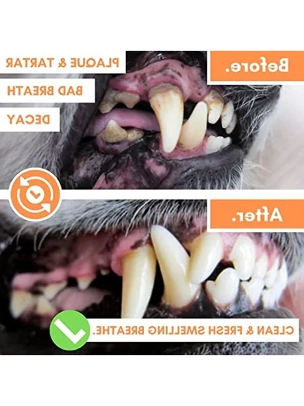 Köpekler İçin Diş Mendilleri - Resim 2