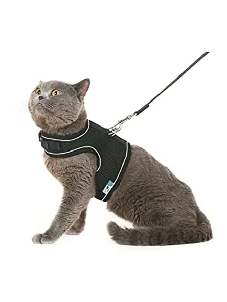 Nefes Alabilen Kedi Göğüs Tasması Seti, Large Boyut, Siyah ürün görseli 1