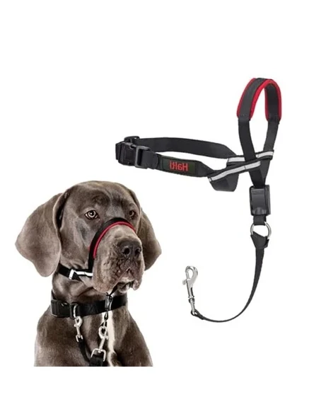 Company of Animals Optifit Ağızlıklı Tasma, Büyük Boy Siyah ürün görseli 1