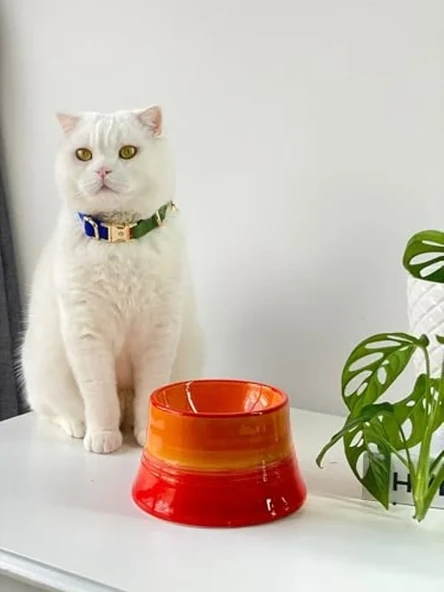 Turuncu Seramik Kedi ve Köpek Mama Su Kabı - Colorful Moon Bowl ürün görseli 1