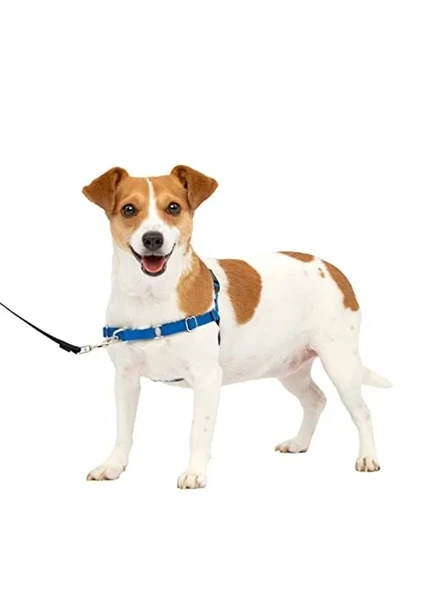 Pratik köpek koşum takımı, rahat yürüyüş deneyimi sunar ürün görseli 1