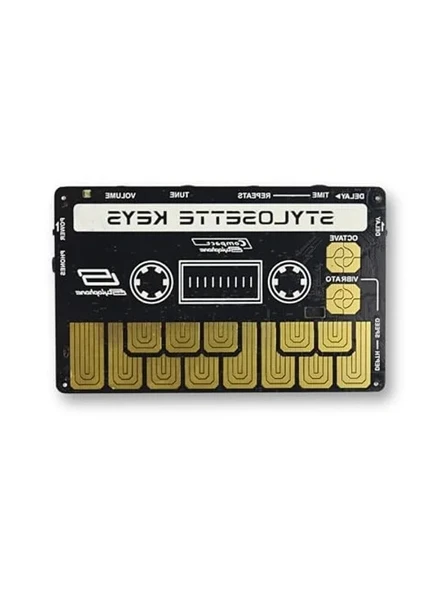 Synthesizer Modeli, Stylosette, Farklı Ses Seçenekleri ürün görseli 1