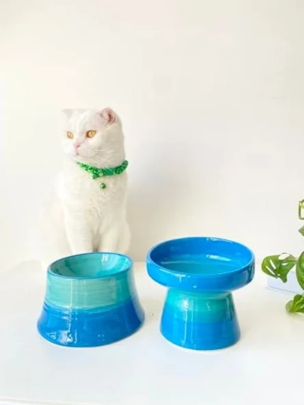 2'li Set Turkuaz Seramik Mama ve Su Kabı ürün görseli 1