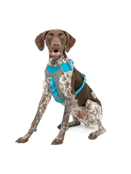 M beden Journey Air Köpek Koşum Takımı, Mavi/Gri ürün görseli 1