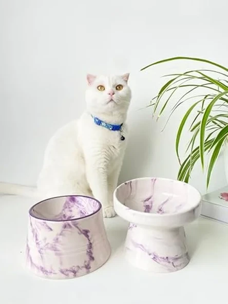 Seramik Kedi ve Köpek Mama Su Kabı, 2'li Set - Estetik Tasarım ürün görseli 1