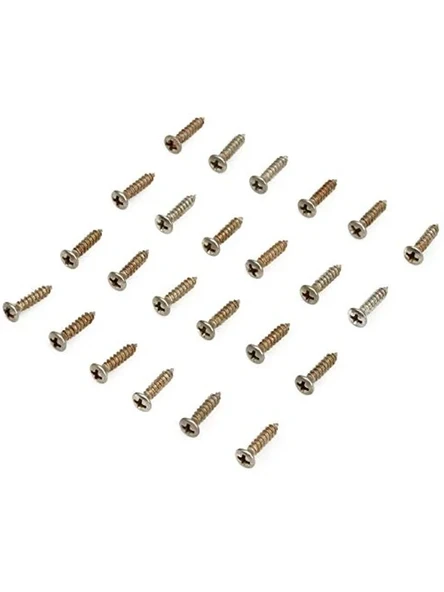 24 Adet Pickguard ve Kontrol Plakası Vida Seti ürün görseli 1