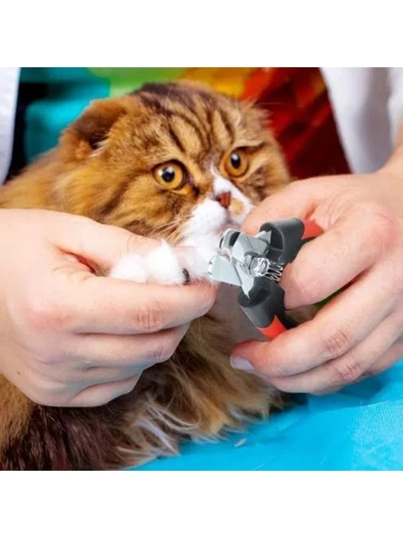Kedi ve Köpek Tırnak Makası, 12.3 cm Keskin ve Güvenli ürün görseli 1