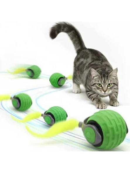 Şarj Edilebilir İnteraktif Kedi Oyuncağı, Farklı Hız Modları ürün görseli 1