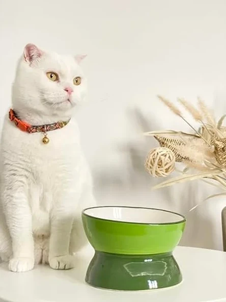 Yeşil Renkli Seramik Mama ve Su Kabı, Kedi ve Köpekler İçin ürün görseli 1