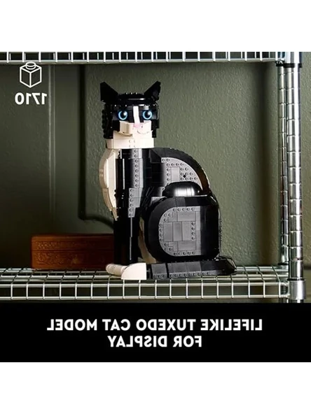 Lego 21349 Ideas Smokinli Kedi - Resim 3
