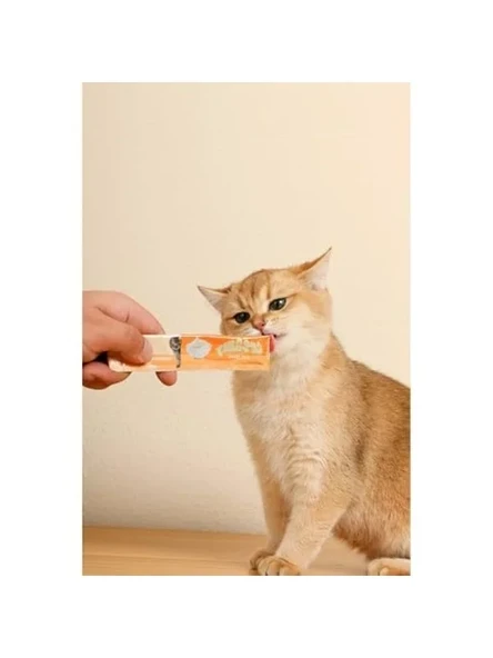 4 Adet 15 Gr Yengeçli Kedi Ödülü - Resim 3