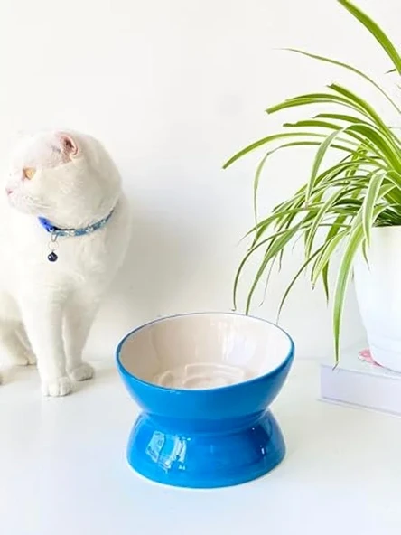 Mavi Seramik Yavaş Yeme Kedi Mama Kabı, Şık ve Fonksiyonel ürün görseli 1
