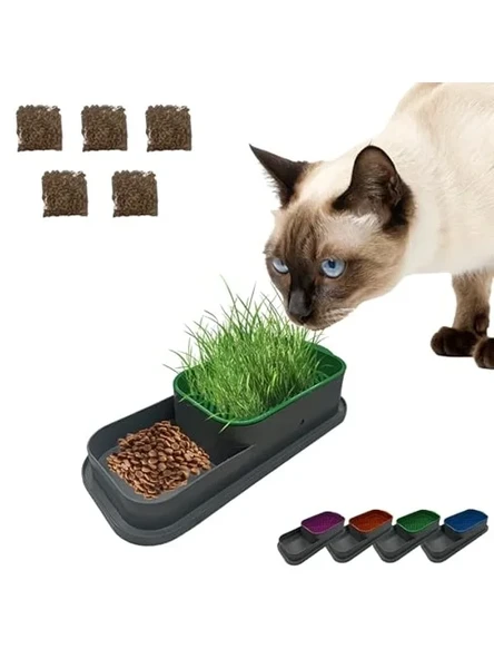 Hidroponik kedi çimi seti, 5 paket, doğal çim yetiştirme ürün görseli 1