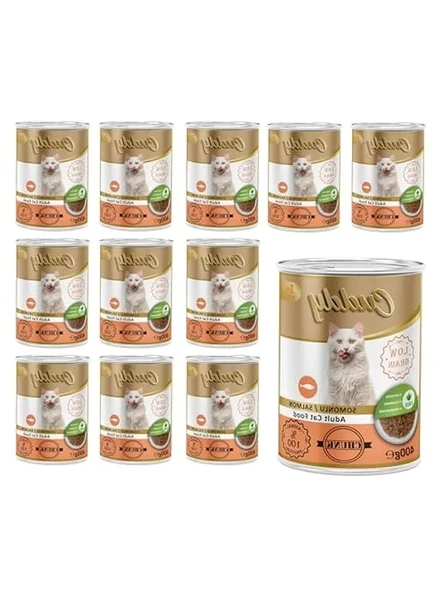 Somonlu ve jöleli konserve mama, 400 gr x 12 adet, lezzetli öğün ürün görseli 1