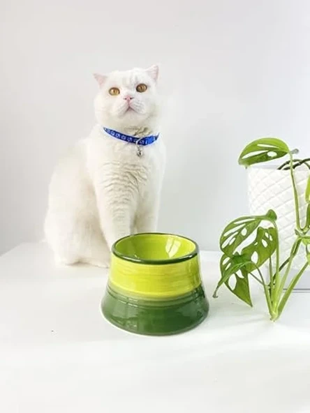 Seramik mama su kabı, renkli tasarım, kedi ve köpekler için ürün görseli 1