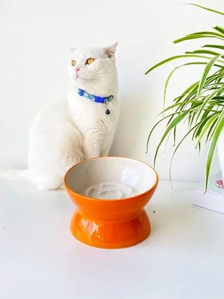 Turuncu Seramik Yavaş Yeme Kedi Mama Kabı, Estetik Tasarım ürün görseli 1