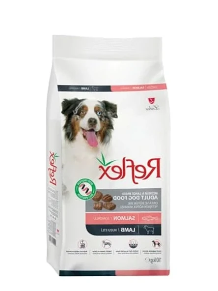 Orta ve Büyük Irk Yetişkin Köpekler için Somonlu ve Kuzu Etli 10 kg Mamanın Lezzeti ürün görseli 1