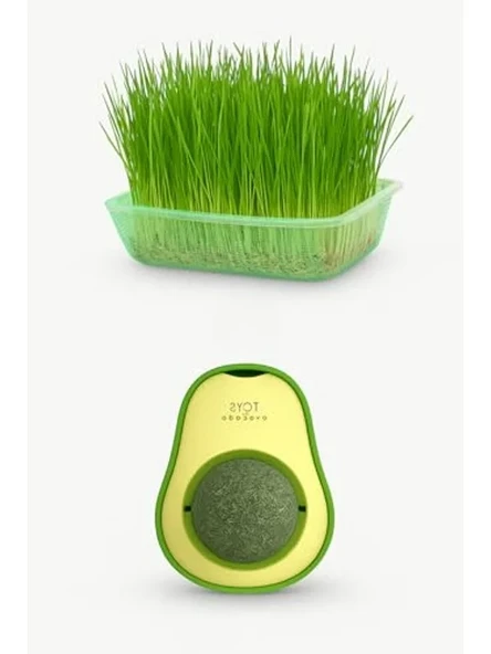 Doğal Kedi Çimi Seti ve Avokado Catnip Oyuncağı, 2'li Paket ürün görseli 1