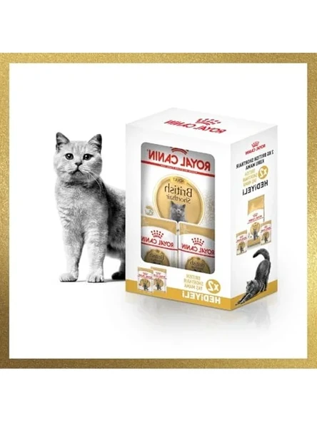 2 Kg Yetişkin British Shorthair Kedi Maması ve Yaş Maması Seti ürün görseli 1