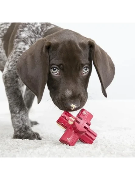 Köpek Diş Bakım Oyuncak M 9cm - Resim 2