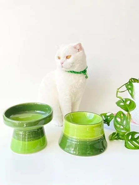 Yeşil gökkuşağı temalı 2'li seramik kedi ve köpek mama su kabı ürün görseli 1