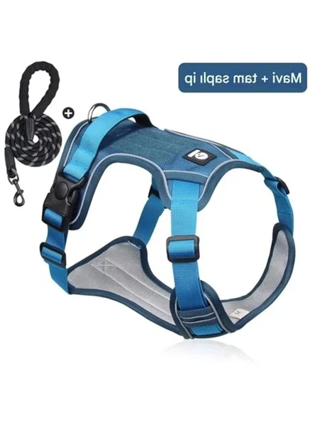 Reflektörlü Tasmalı Köpek Seti, Mavi, L - Resim 2