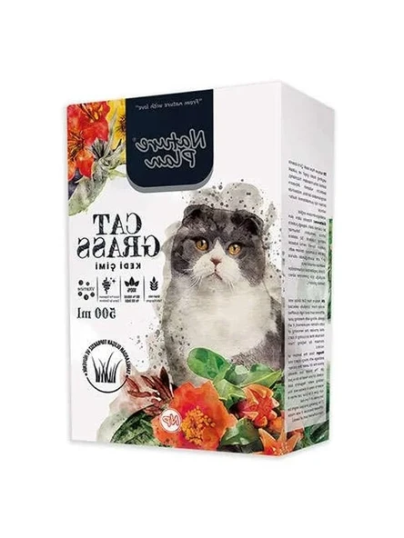 500 ml Kedi Çimi, Doğal ve Sağlıklı ürün görseli 1