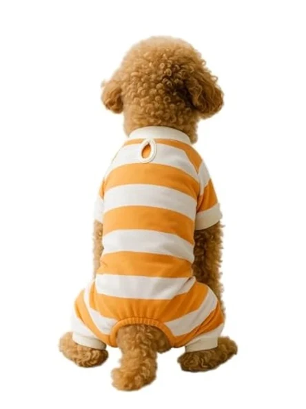 Turuncu Beyaz Çizgili Kedi ve Köpek Tulum, XL Beden ürün görseli 1