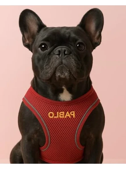 Küçük ve Orta Irk Köpekler İçin Renk Seçenekli Göğüs Tasması ürün görseli 1