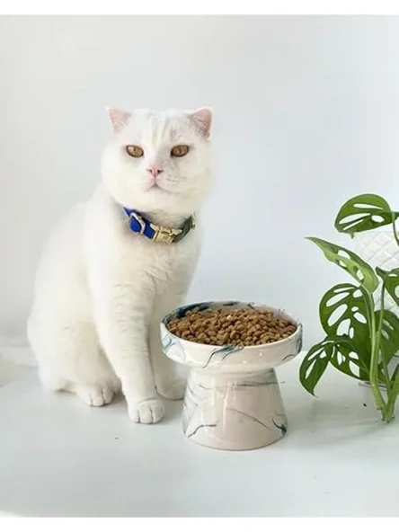Seramik Kedi Ve Köpek Mama Su Kabı YEŞİL EBRU ürün görseli 1