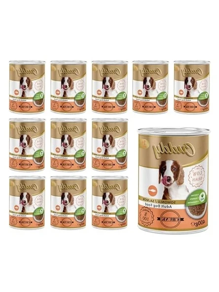 Somonlu ve jöleli köpek konservesi, 400 gr x 12 adet ürün görseli 1