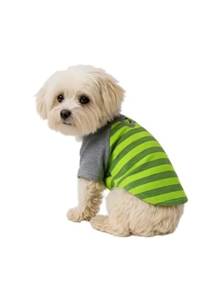 XL Boyutunda Yeşil Gri T-Shirt, Kedi ve Köpek İçin Şık Kıyafet ürün görseli 1