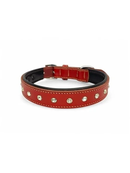 %100 Hakiki Deri - Antik Tokalı Köpek Tasması – Yumuşak İç Katman, Dayanıklı ve Şık Tasarım - Gerçek Deriden Tasma; Ekstra Küçük, Küçük, Orta, Büyük, Çok Büyük Köpekler İçin (Kırmızı, L) ürün görseli 1