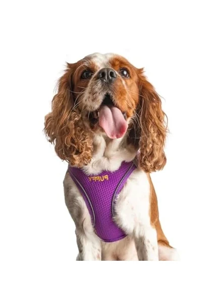 İsimli Airmesh Göğüs Tasması, Küçük ve Orta Irk Köpekler İçin ürün görseli 1