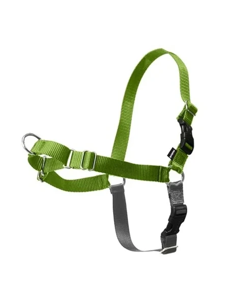 Çekmesiz Elma Yeşili/Gri Köpek Koşumu, Medium/Large Boy ürün görseli 1