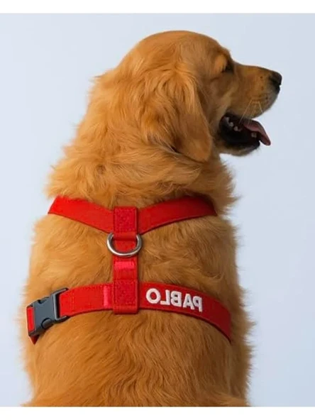 Kişiye Özel Numaralı Güvenlik Amaçlı Köpek Göğüs Tasması ürün görseli 1