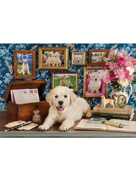 Labrador Temalı 500 Parça Puzzle, Eğlenceli Zeka Geliştirici Aktivite ürün görseli 1