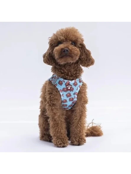 2XS Boyutunda Air-Mesh Köpek Göğüs Tasması ürün görseli 1