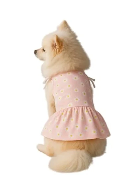Pembe Papatyalı Kedi ve Köpek Elbisesi - L Boy ürün görseli 1