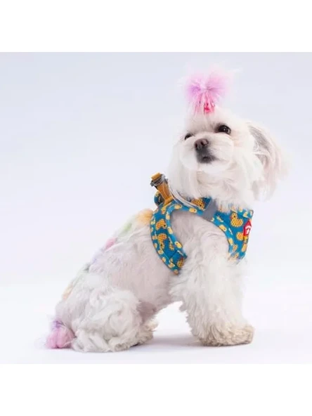 Köpek Göğüs Tasması, Air-Mesh, S Boy ürün görseli 1