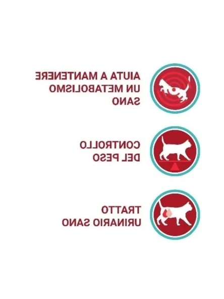 Somonlu Kedi Maması, 800 Gr - Resim 3